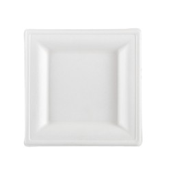 Piatto piano monouso quadrato 16 x 16 cm canna da zucchero bianco Signor Bio conf. 50 pezzi