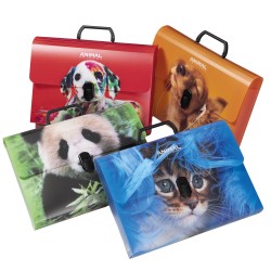 Valigetta Animal Friends Color 28 x 38 cm dorso 5 cm PP fantasie assortite Colorosa