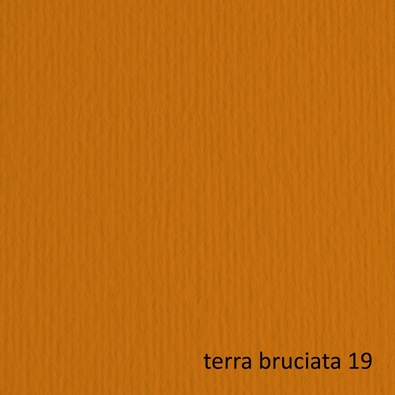 Cartoncino Elle Erre 70x100cm 220gr terra bruciata 119 Fabriano blister 10 fogli