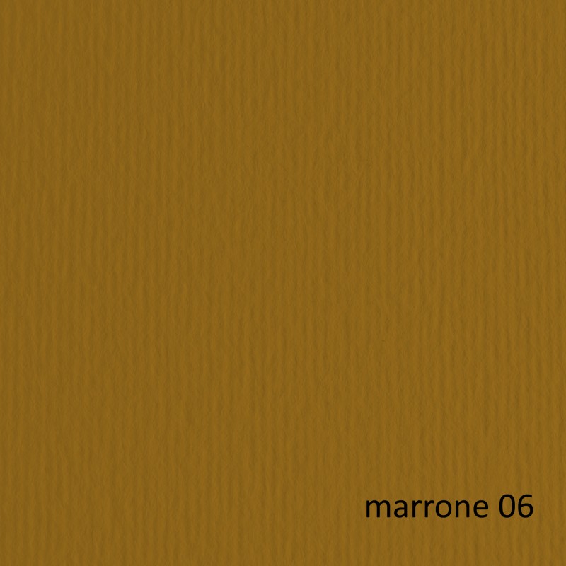 Cartoncino Elle Erre 70x100cm 220gr marrone 106 Fabriano blister 10 fogli