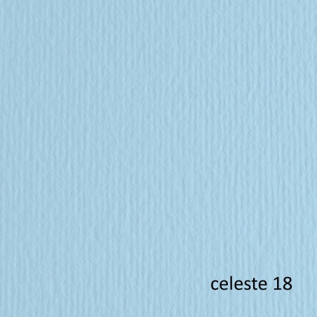 Cartoncino Elle Erre 70x100cm 220gr celeste 118 Fabriano blister 10 fogli