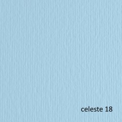 Cartoncino Elle Erre 70x100cm 220gr celeste 118 Fabriano blister 10 fogli