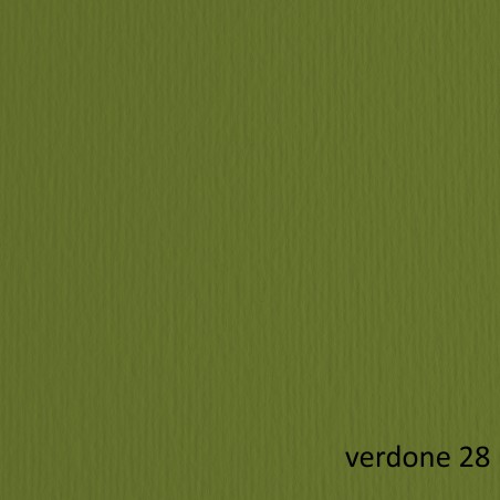 Cartoncino Elle Erre 70x100cm 220gr verdone 128 Fabriano blister 10 fogli