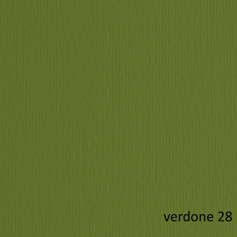 Cartoncino Elle Erre 70x100cm 220gr verdone 128 Fabriano blister 10 fogli