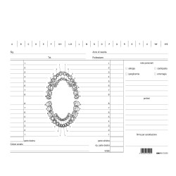 Schede in cartoncino per dentisti 17 x 24 cm verde Edipro conf. 100 pezzi