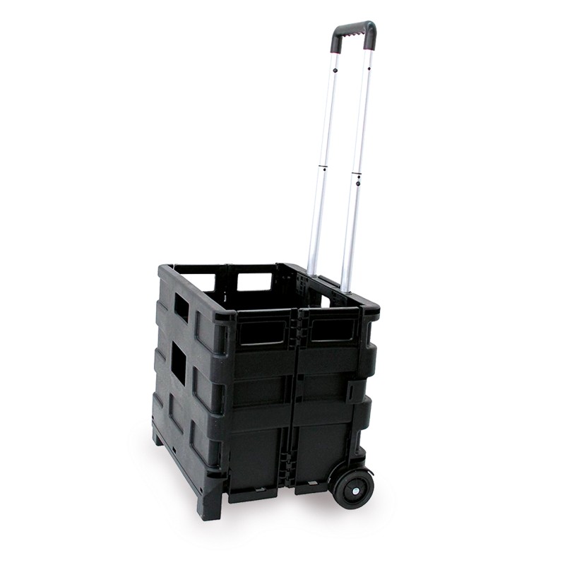 Carrello pieghevole con cassa in plastica portata max 25 kg Garden Friend