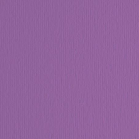 Cartoncino Elle Erre 70x100cm 220gr viola 104 Fabriano blister 10 fogli