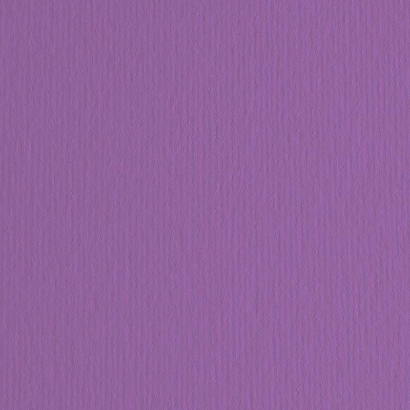 Cartoncino Elle Erre 70x100cm 220gr viola 104 Fabriano blister 10 fogli