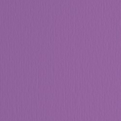 Cartoncino Elle Erre 70x100cm 220gr viola 104 Fabriano blister 10 fogli