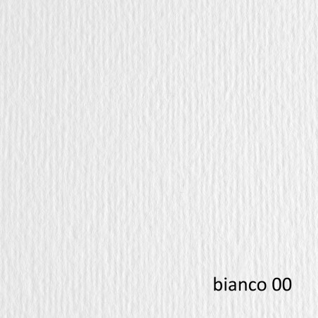 Cartoncino Elle Erre 70x100 cm 220 gr bianco Fabriano blister 10 fogli