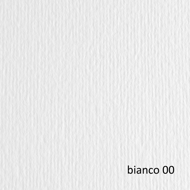 Cartoncino Elle Erre 70x100 cm 220 gr bianco Fabriano blister 10 fogli