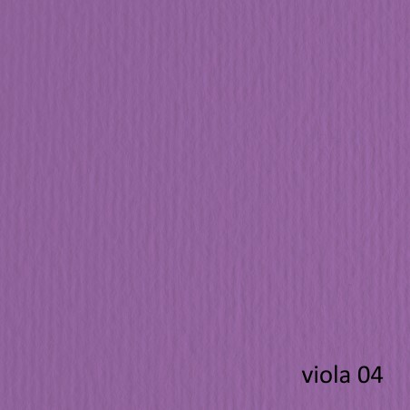 Cartoncino Elle Erre 50x70cm 220gr viola 104 Fabriano blister 20 fogli