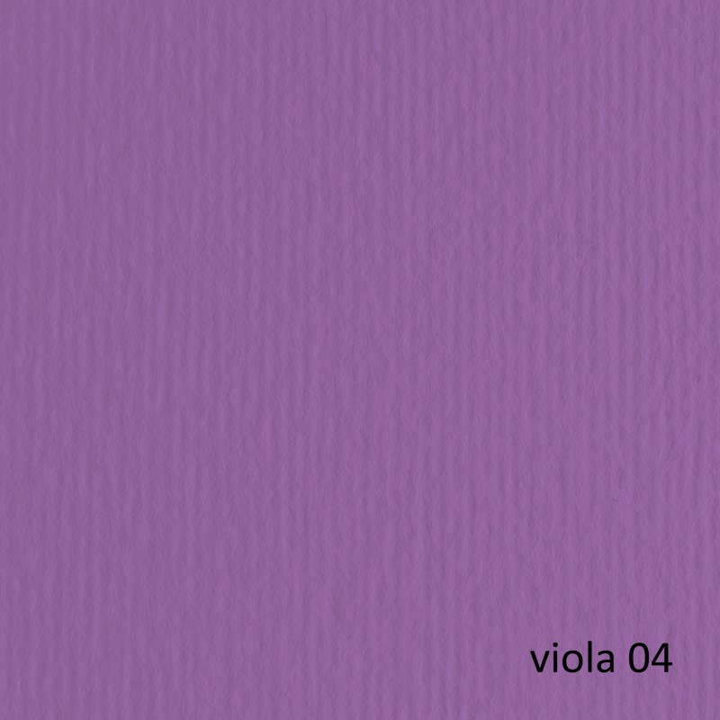 Cartoncino Elle Erre 50x70cm 220gr viola 104 Fabriano blister 20 fogli