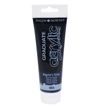 Colore acrilico fine Graduate 120 ml grigio payne Daler Rowney