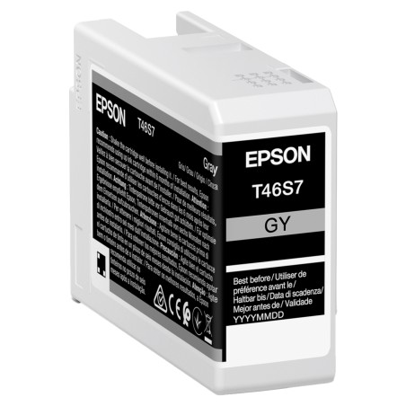 Epson Cartuccia UltraChrome Pro 10 Grigio C13T46S700 25 ml