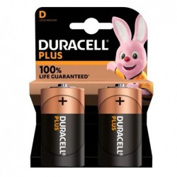 Pila Torcia D Plus100 MN1300 Duracell blister 2 pezzi