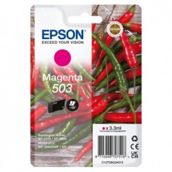 Epson Cartuccia Magenta 503 C13T09Q34010 3,3 ml