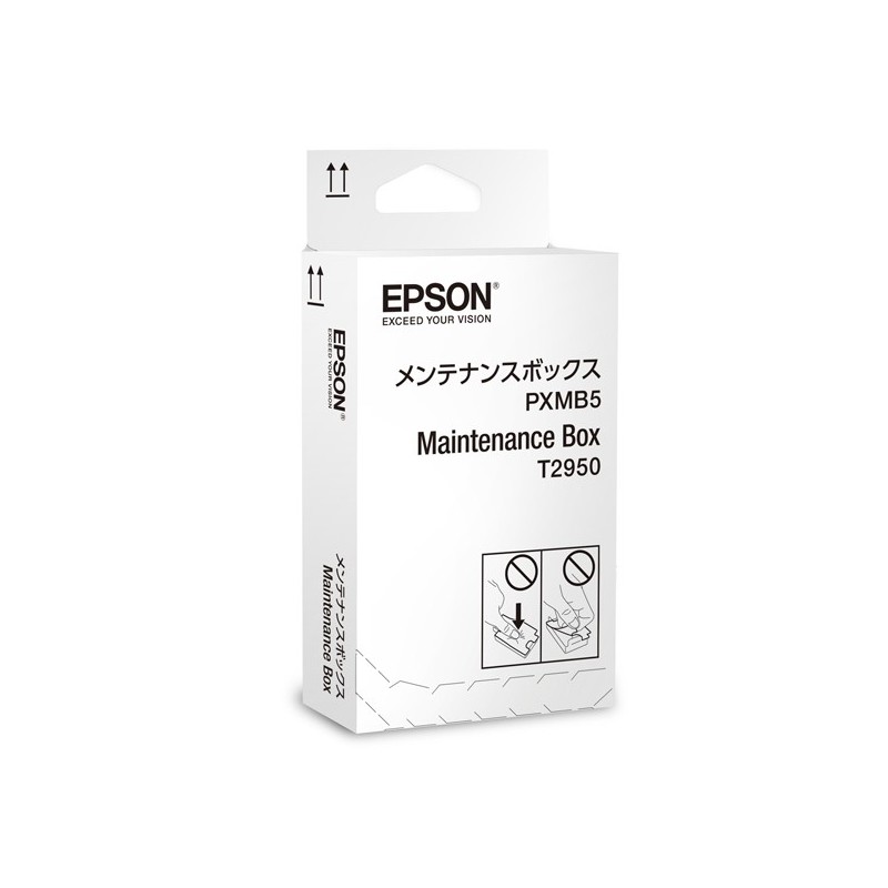 Epson Kit di manutenzione T2950 C13T295000