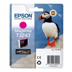 Epson Cartuccia ink Magenta T3243 C13T32434010 14ml