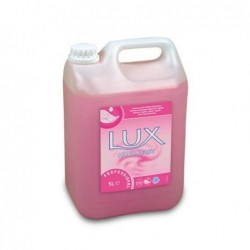 Detergente Hand Wash floreale Lux tanica da 5 L