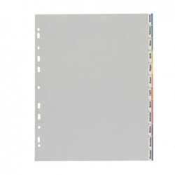 Separatore 12 tacche personalizzabili PP 22x30 cm grigio Favorit