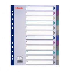 Separatore 12 tasti PP traslucido A4 maxi 24,5x29,7 cm multicolore Esselte