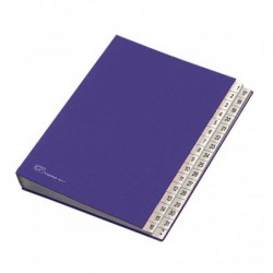 Classificatore numerico 1/31 643D 24x34 cm blu Fraschini