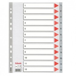 Separatore numerico 1/12 PPL A4 22,5x29,7 cm grigio Esselte