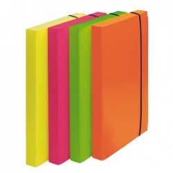 Cartella progetto Shocking File con elastico 24x35 cm colori fluo assortiti Fellowes