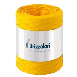 Nastro Rafia sintetica giallo 02 5mmx200mt Brizzolari