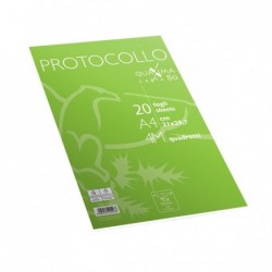 Fogli protocollo A4 4 mm 80 gr Pigna conf. 20 pezzi