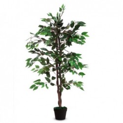 Pianta ornamentale ficus H 120cm Paperflow