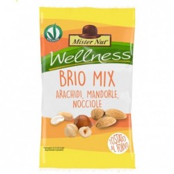 Brio Mix 25 gr Mister Nut